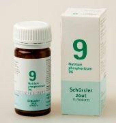 afbeelding van Natrium phosphoricum 9 D6 Schussler