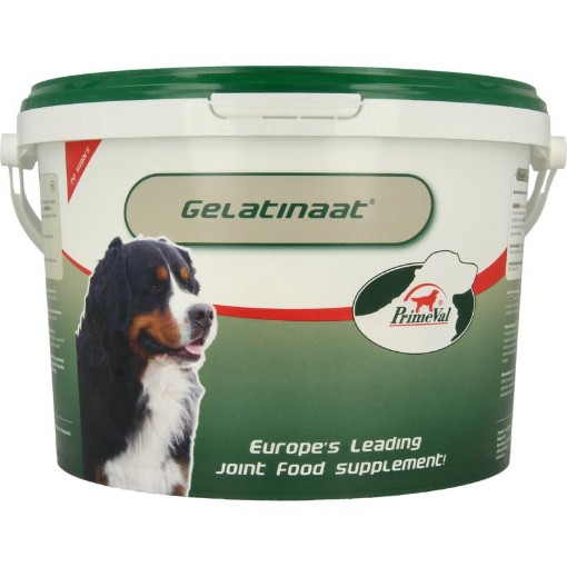 afbeelding van Gelatinaat hond