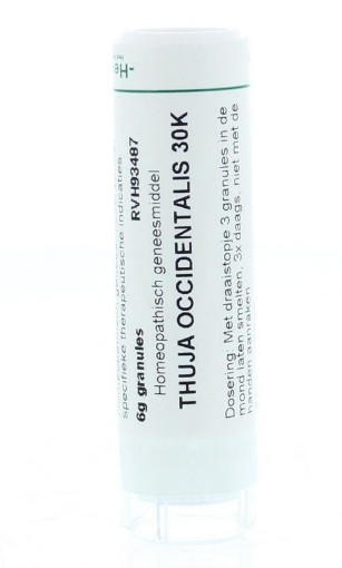 afbeelding van Thuja occidentalis 30K