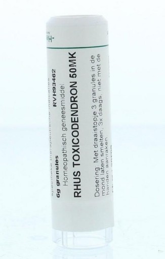 afbeelding van Rhus toxicodendron 50MK