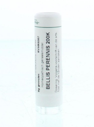 afbeelding van Bellis perennis 200K