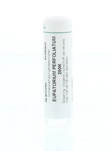 afbeelding van Eupatorium perfoliatum 200K