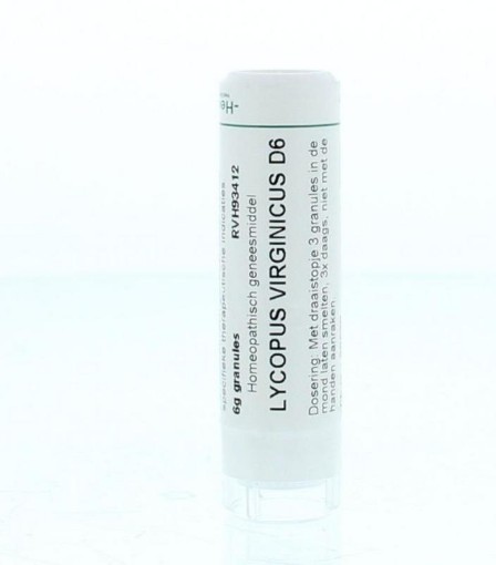 afbeelding van Lycopus virginicus D6