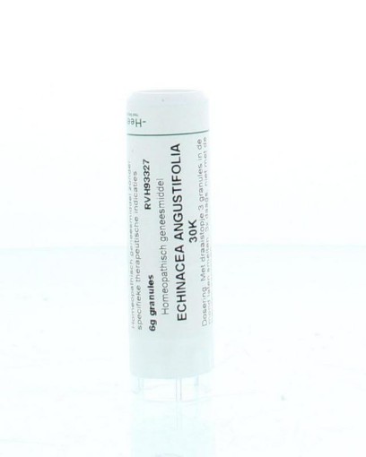 afbeelding van Echinacea angustifolia 30K