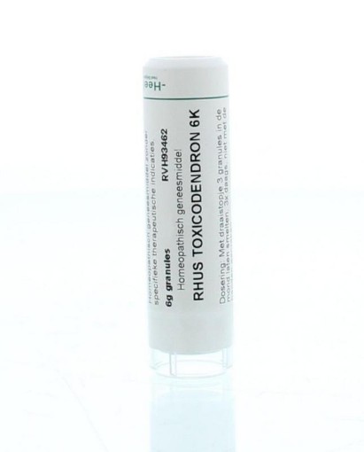 afbeelding van Rhus toxicodendron 6K