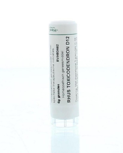 afbeelding van Rhus toxicodendron D12