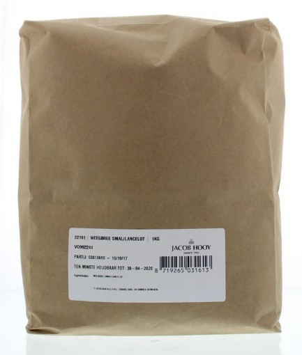 afbeelding van Weegbree smal