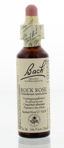 afbeelding van Rock rose / zonneroosje