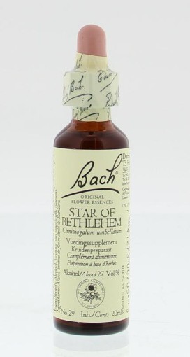 afbeelding van Star of Bethlehem / vogelmelk