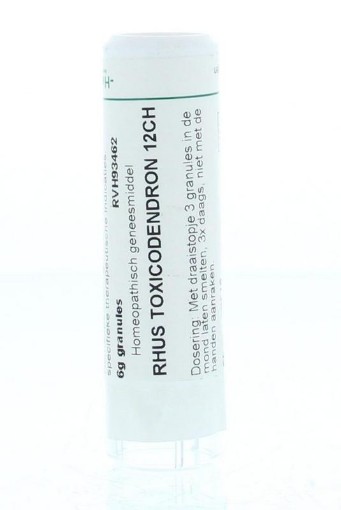 afbeelding van Rhus toxicodendron 12CH