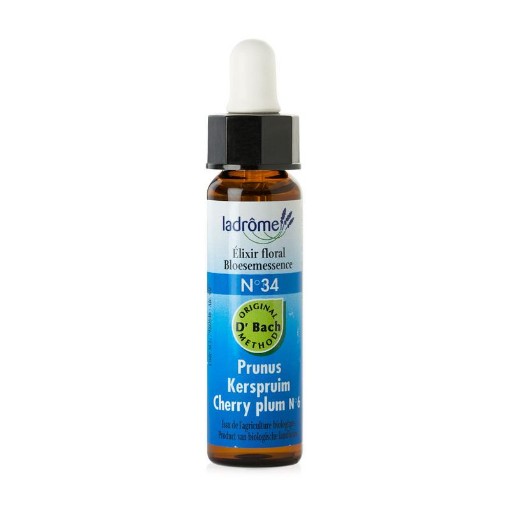 afbeelding van Cherry plum / kerspruim 34