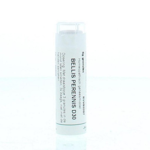 afbeelding van Bellis perennis D30