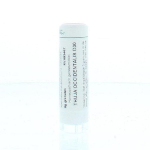 afbeelding van Thuja occidentalis D30