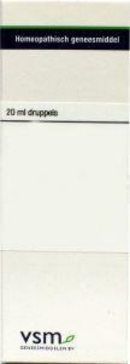 afbeelding van Graphites D12