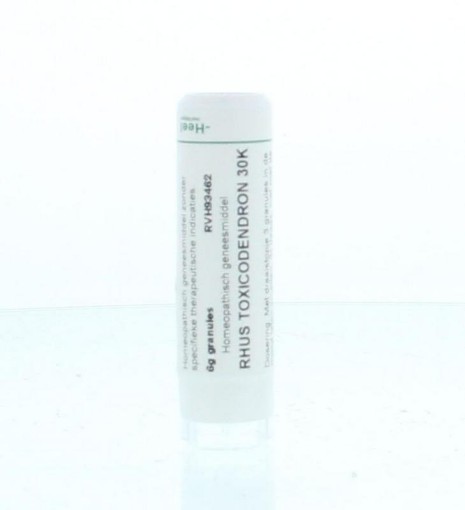 afbeelding van Rhus toxicodendron 30K
