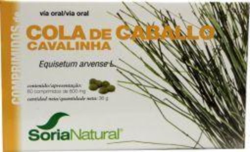 afbeelding van Equisetum arvense 12-S
