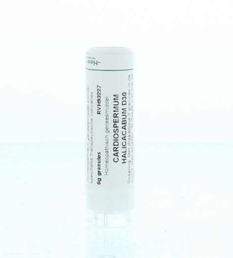 afbeelding van Cardiosperum halicacabum D30