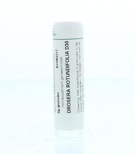 afbeelding van Drosera rotundifolia D30