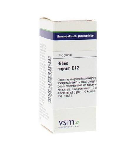 afbeelding van Ribes nigrum D12