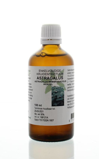 afbeelding van Astragalus membranaceus / astragalus