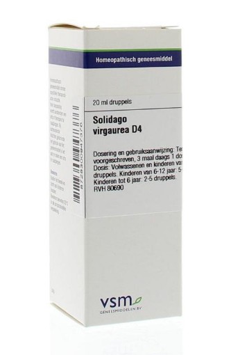 afbeelding van Solidago virgaurea D4