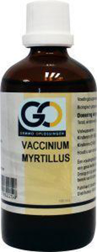afbeelding van Vaccinium myrtillus