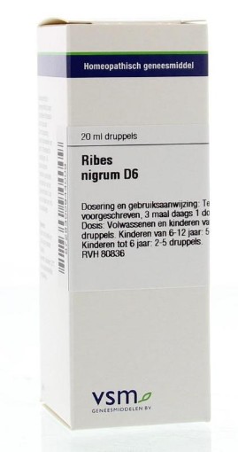 afbeelding van Ribes nigrum D6
