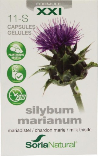afbeelding van Sylibum marianum XXI 11-S
