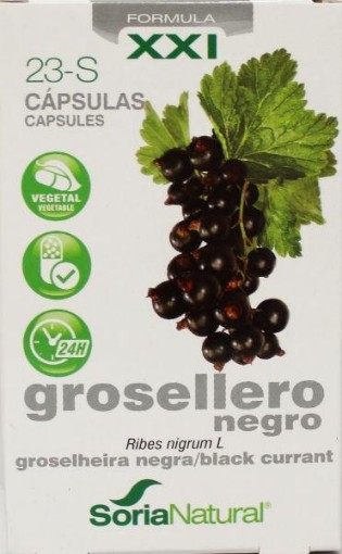 afbeelding van Ribes nigrum 23-S XXI