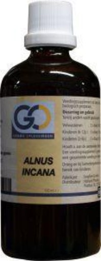 afbeelding van Alnus incana