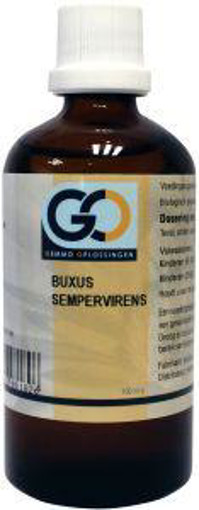 afbeelding van Buxus sempervirens