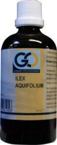 afbeelding van Ilex aquafolium