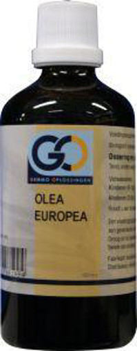 afbeelding van Olea europea