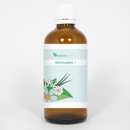 afbeelding van HGP009 Aderen