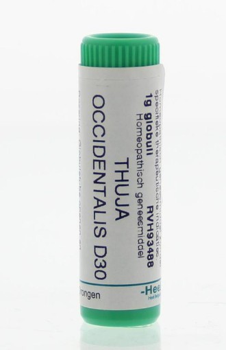 afbeelding van Thuja occidentalis D30