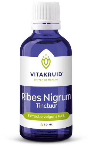 afbeelding van Ribes nigrum tinctuur