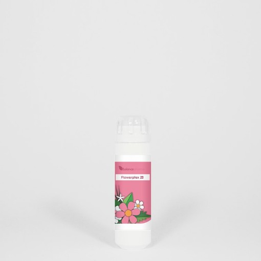 afbeelding van HFP028 Gehechtheid Flowerplex