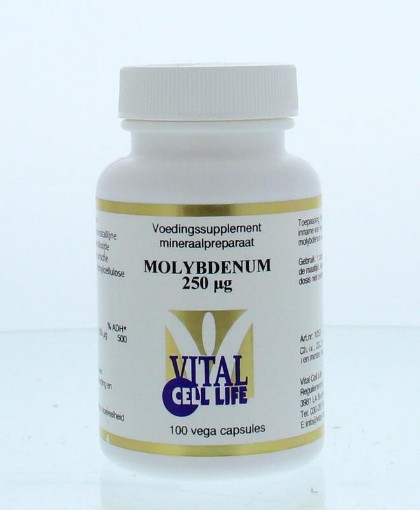 afbeelding van Molybdenum 250 mcg