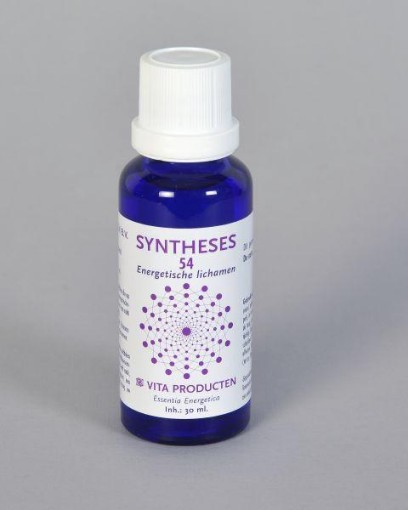 afbeelding van Syntheses 54 energetische lichamen