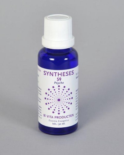 afbeelding van Syntheses 59 psyche