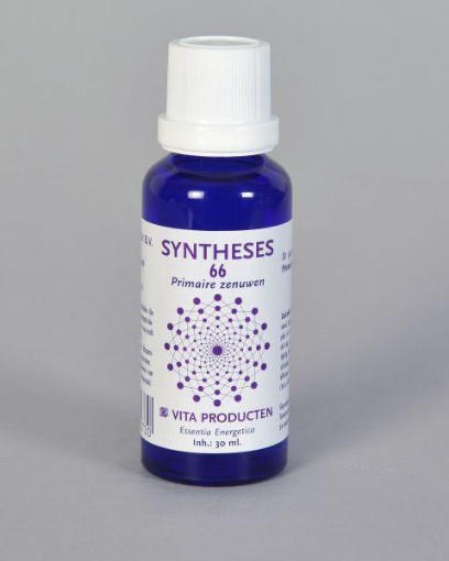 afbeelding van Syntheses 66 primaire zenuwen