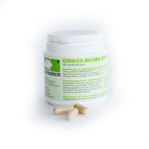 afbeelding van Ginkgo biloba 60mg