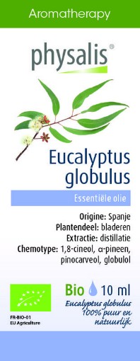 afbeelding van Eucalyptus globulus bio