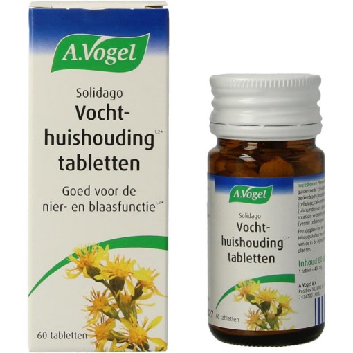 afbeelding van Solidago