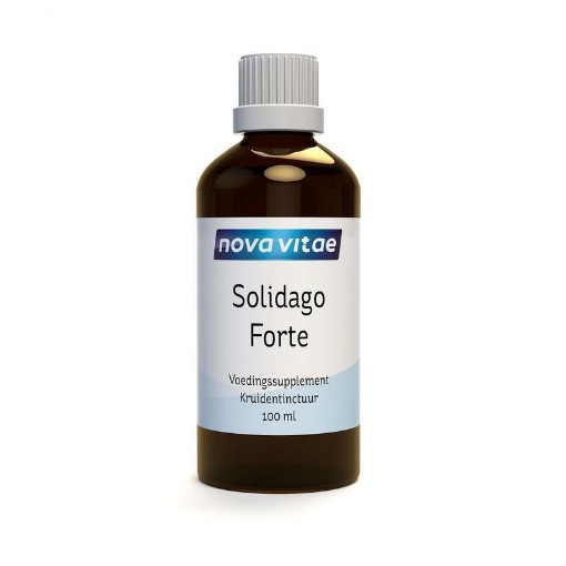 afbeelding van Solidago forte