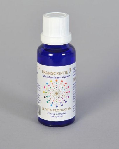 afbeelding van Transcriptie 7 mitochon orgaan