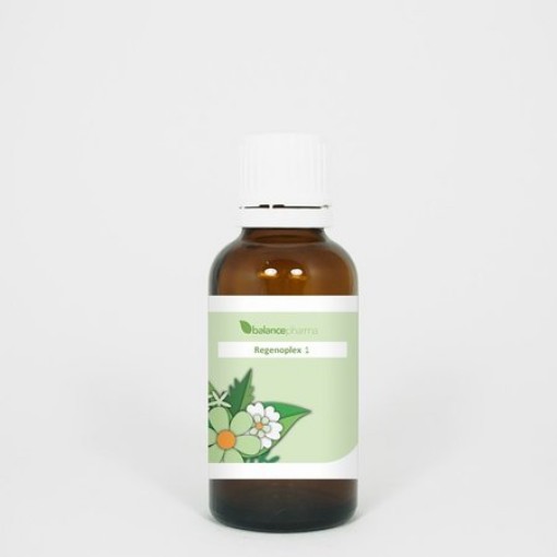 afbeelding van RGP001 Lever Regenoplex