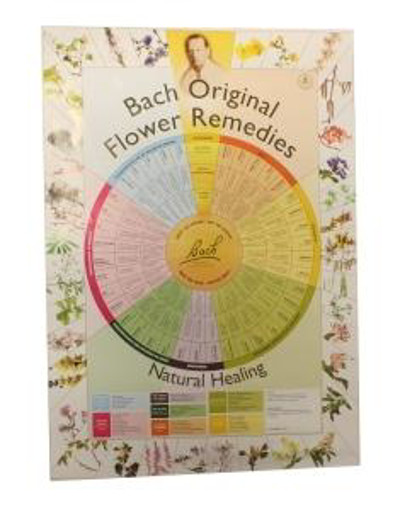 afbeelding van Bach remedies poster A2