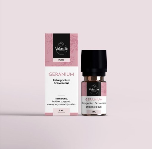 afbeelding van Geranium maroc