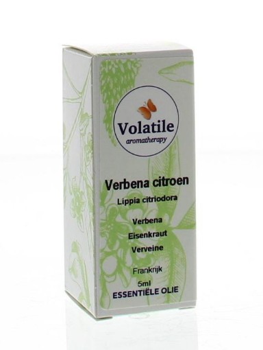 afbeelding van Verbena verveine citroen